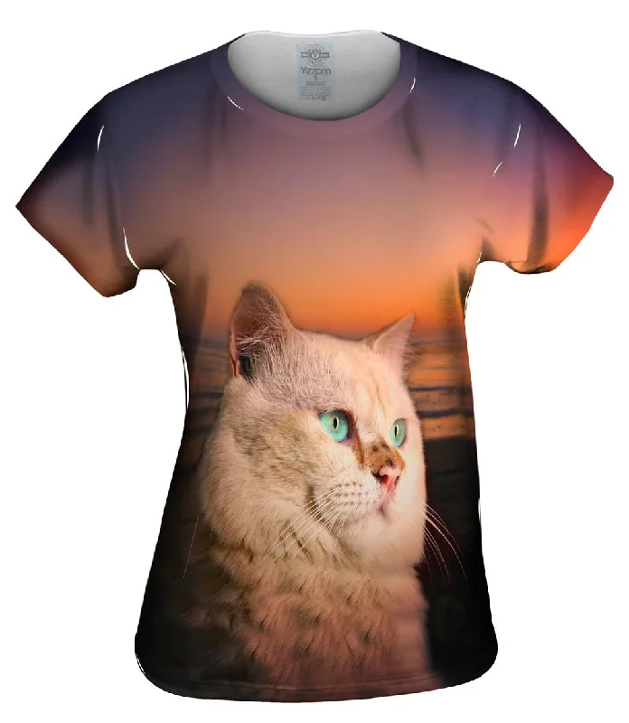 Weekend Savings Galore Sunset Persian Cat